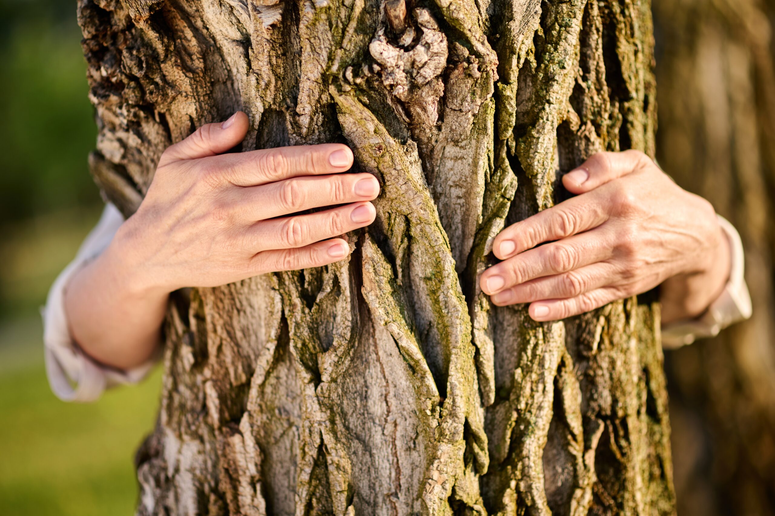 Female hands embracing tree in park